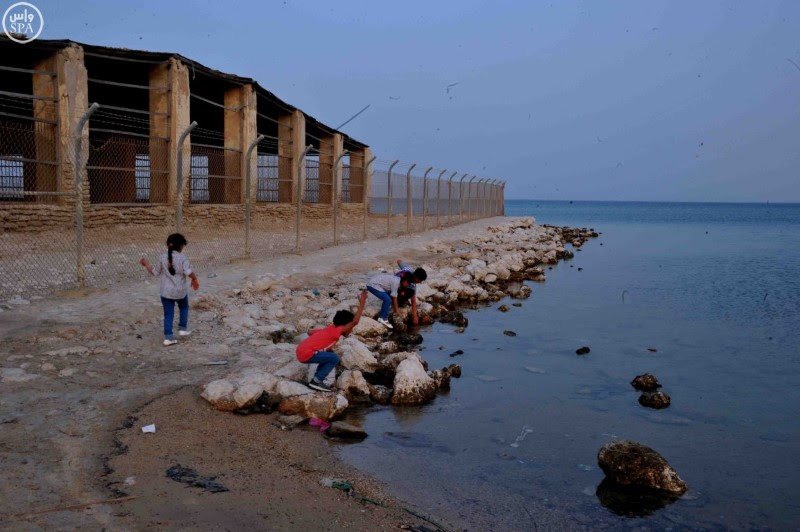 شاطئ العقير