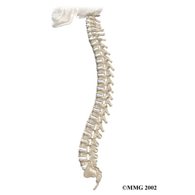 Spine Tattoo Pain. Itself , two tattoos 
