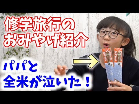 日光東照宮お土産ランキング