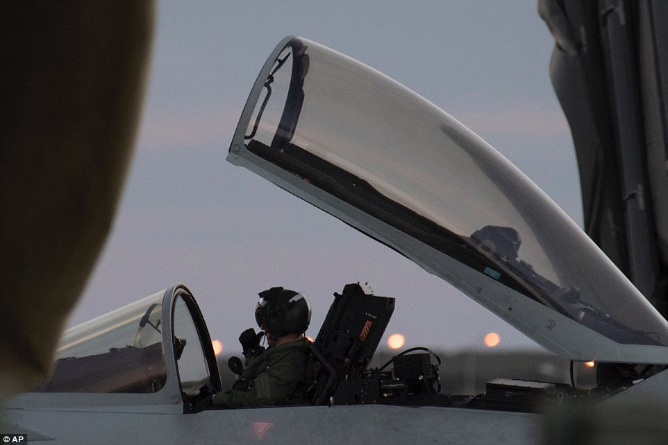 Fighting back: ISIS targets have been hit in several RAF fighter jet attacks in north eastern Syria