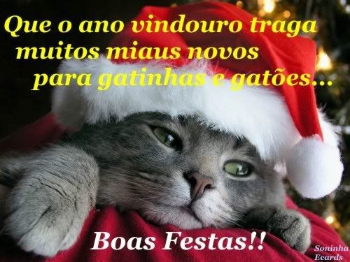 Mensagens Para Orkut - MensagensMagicas.com