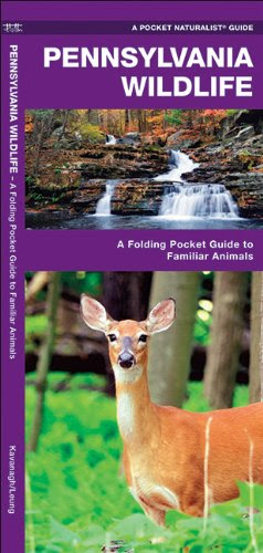 Pennsylvania Wildlife A Folding Pocket Guide To Familiar