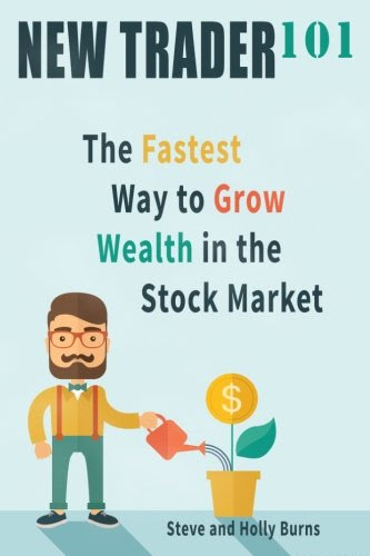 New Trader 101: The Fastest Way to Grow Wealth in the Stock Market, by Steve Burns, Holly Burns