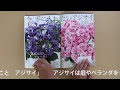 [最も人気のある！] 趣味の園芸 あじさい 244359-趣味の園芸 アジサイ