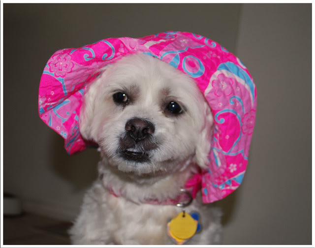 Dory_SunHat