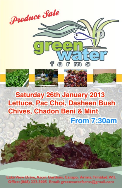 Well here it is folks, our first ever sale of produce at the farm.
