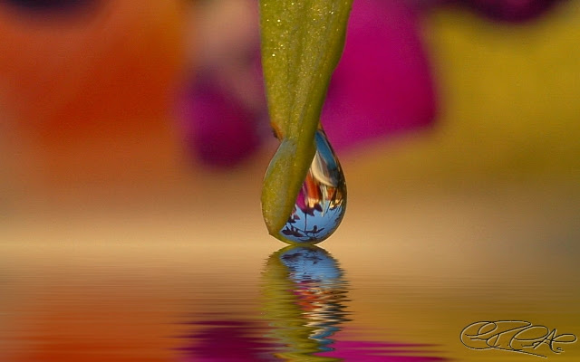 hd desktop wallpapers. desktop wallpaper hd nature.
