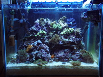 水槽大崩壊 多趣味悠々