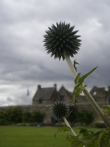 Aberdour Walk