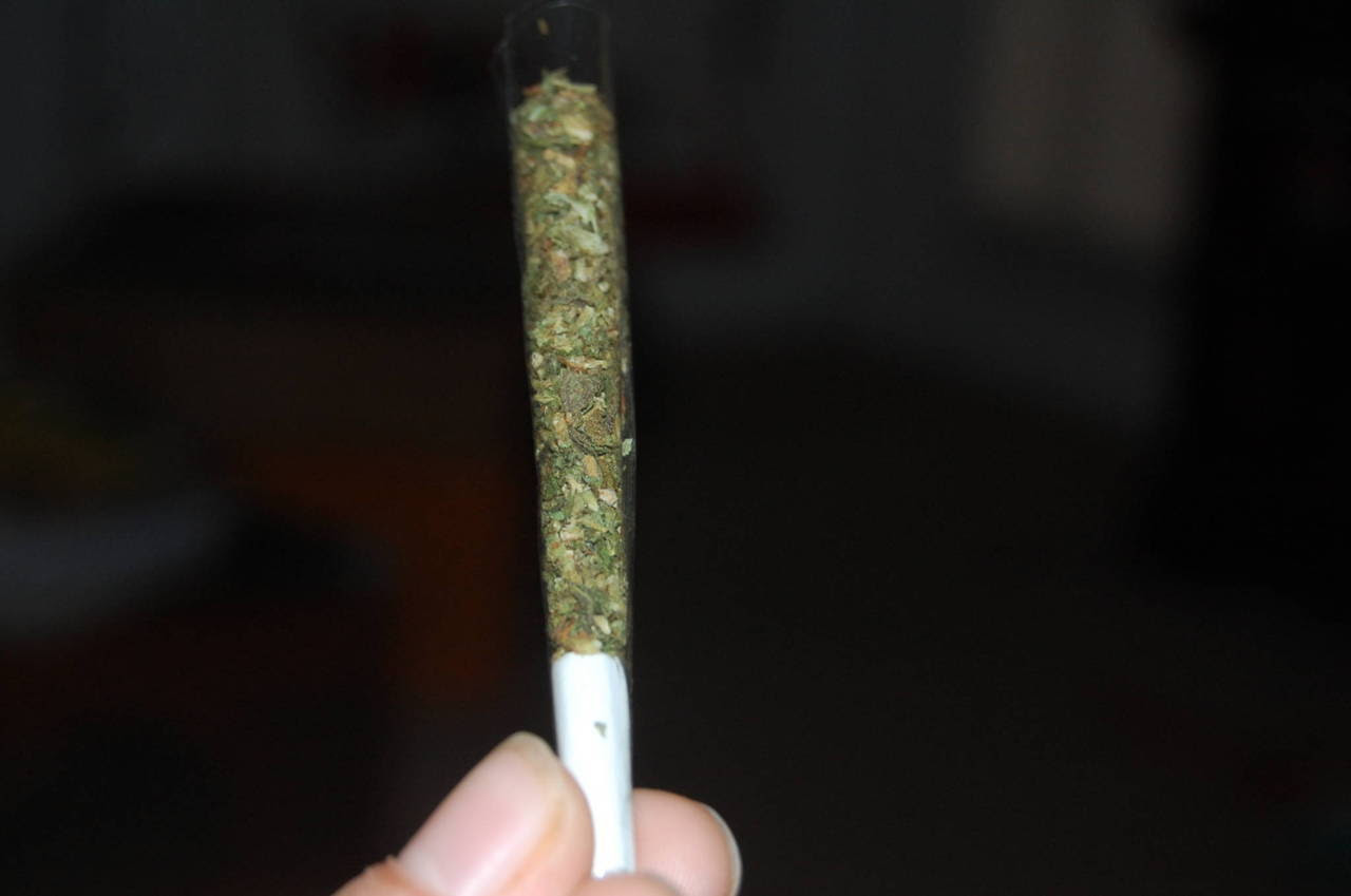 http://24.media.tumblr.com/tumblr_ljjv8wK0V61qchnreo1_1280.jpg