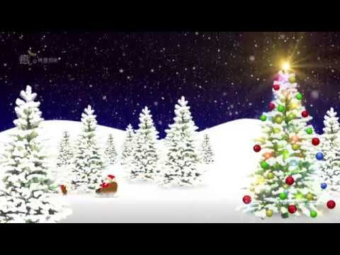 クリスマス動画カード13 癒しの映像館