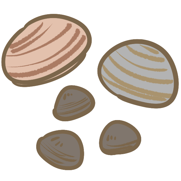 二枚貝のイラスト かわいいフリー素材が無料のイラストレイン