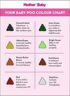  32 poop ideas poop health poop health