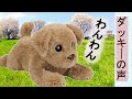 コンプリート！ 喋る 犬 ぬいぐるみ 263299-喋る 犬 ぬいぐるみ