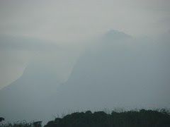 IMG_2354.JPG
