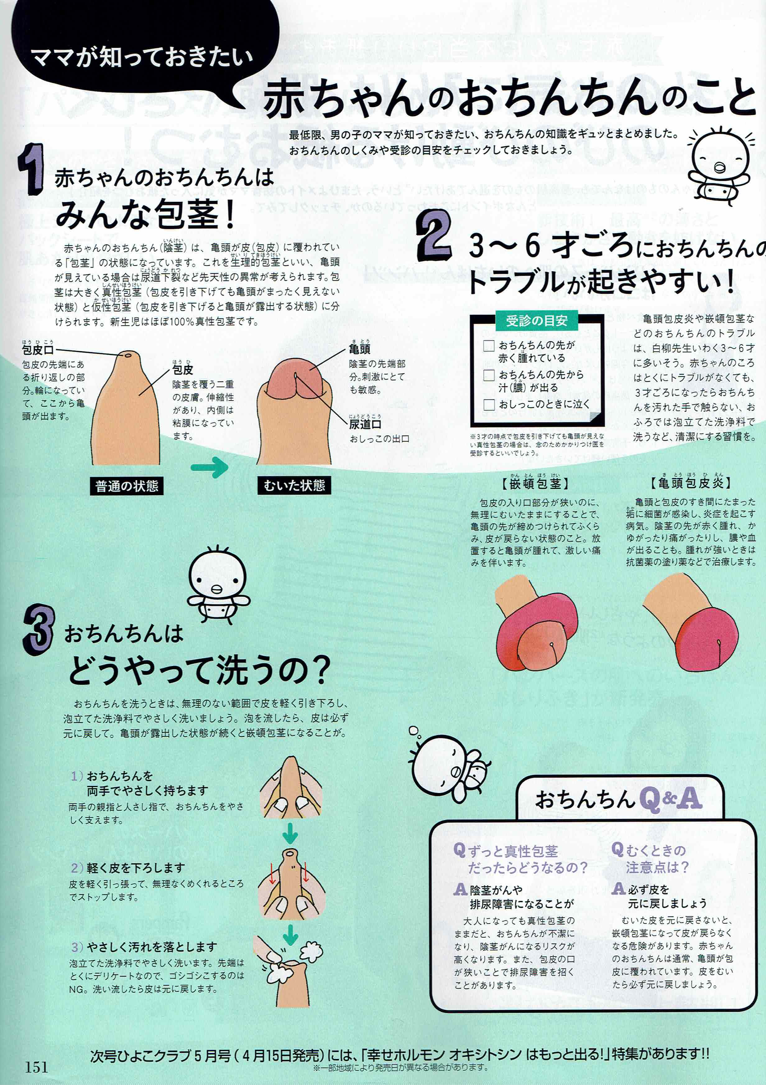赤ちゃんのおちんちんの皮ってむくの むかないの 佐々木クリニック 佐々木クリニック