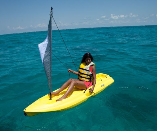 Lifetime Kayak Accessories - 90183 Sail Kit