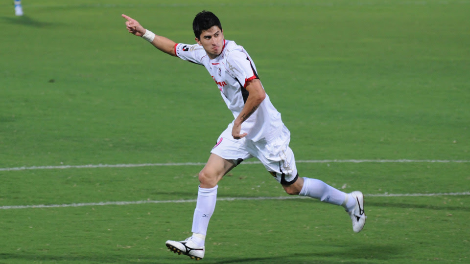 Rosa Und Marineblau 桜色と紺色 ありがとう カイオ