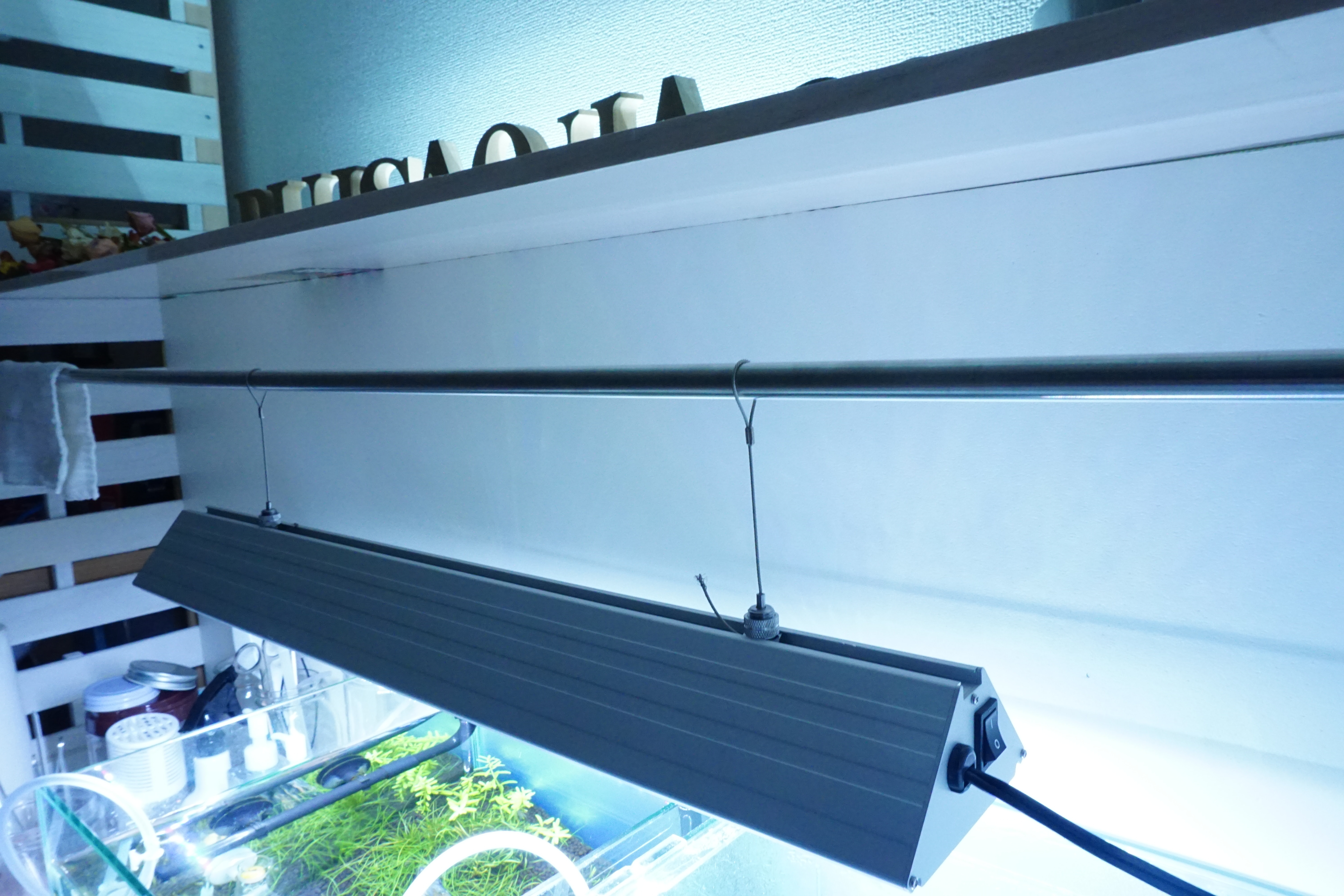 水草水槽の理想的な照明点灯時間とは 自動管理方法も紹介 Plus Aqua
