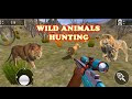 Wild Animals Hunting Zoo ! Android Gameplay ! Lion vs Deer