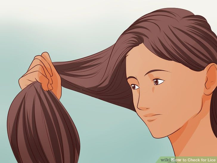 Check for Lice Step 14 Version 2.jpg
