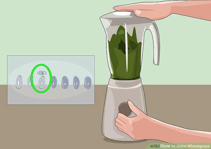 Juice Wheatgrass Step 13.jpg