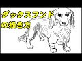 √99以上 リアル 簡単 犬 イラスト 490734