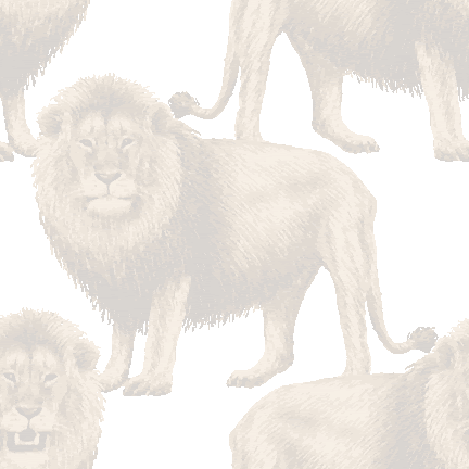 りあるたっちライオン No 345 リアルらいおんの壁紙用イラスト 条件付フリー素材集 スマホなど携帯電話対応