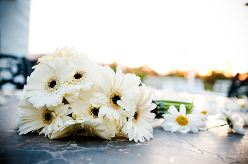 WoodsWedding-292w