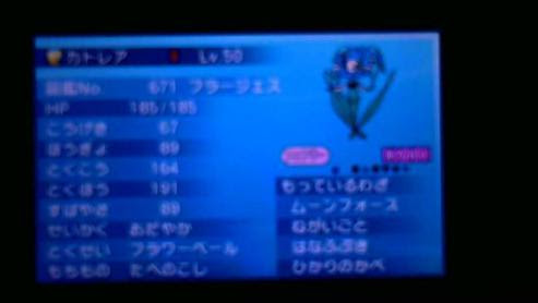 ポケモンランド ポケモンxy フラージェス育成 ニンフィアとの比較