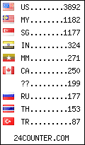 visitors by country counter