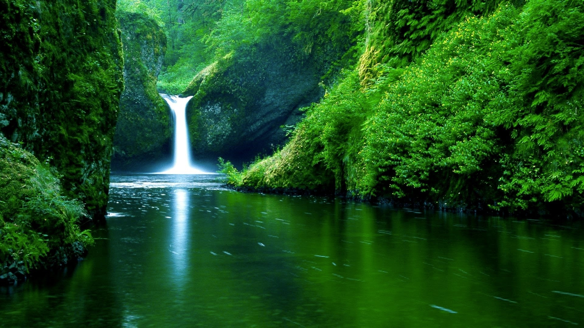 Best Live Wallpapers for PC 51 images Best Live Wallpapers for PC 51 images