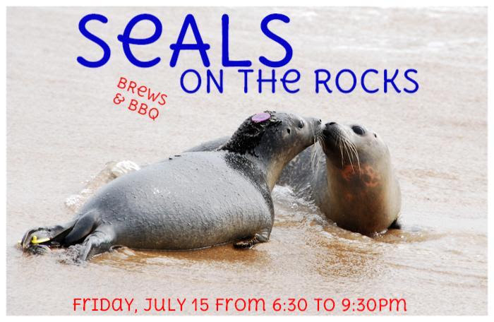 Seals on the Rocks