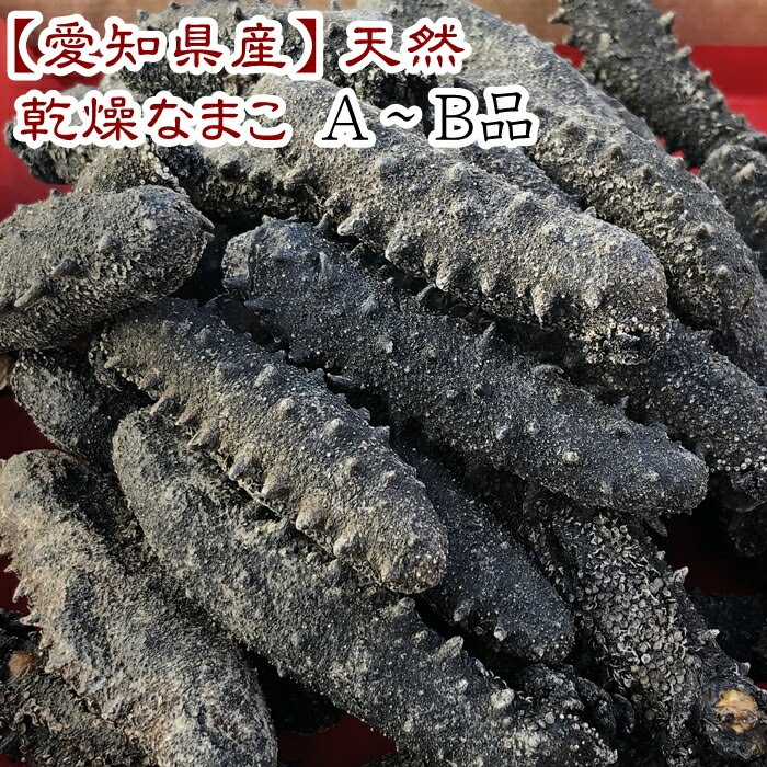 干しなまこ 愛知県産 ナマコ 乾燥なまこ その他水産物 A ｂ品１ｋｇ 岬だよりショップ高級中華食材 天然乾燥ナマコ 無添加です 送料無料