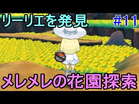 ポケモン サンムーン オドリドリ