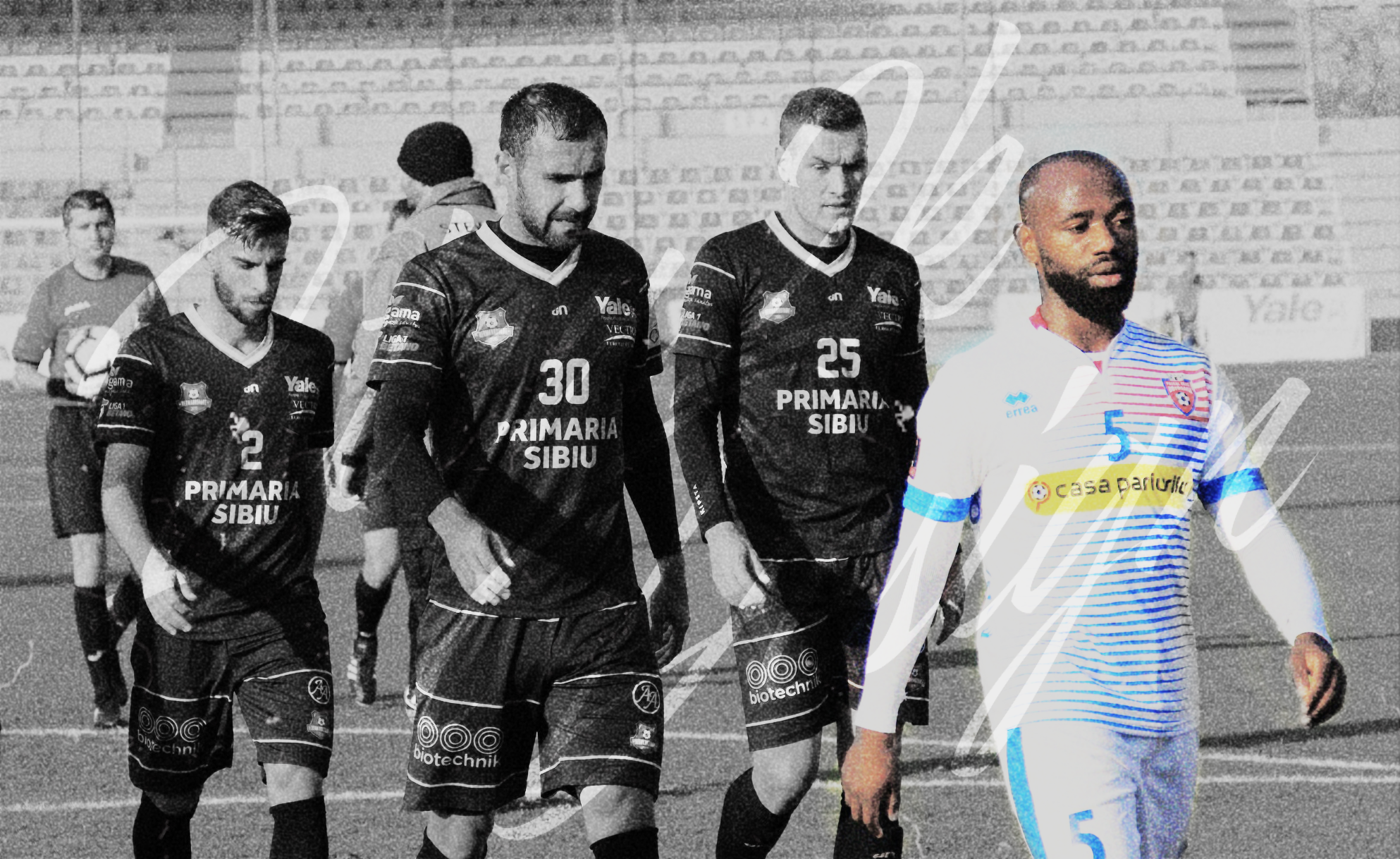 Fc Botosani Official Home