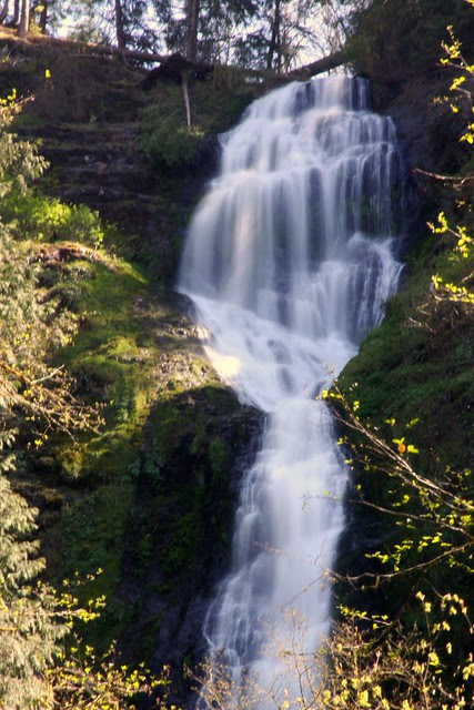 Munson Creek Falls
