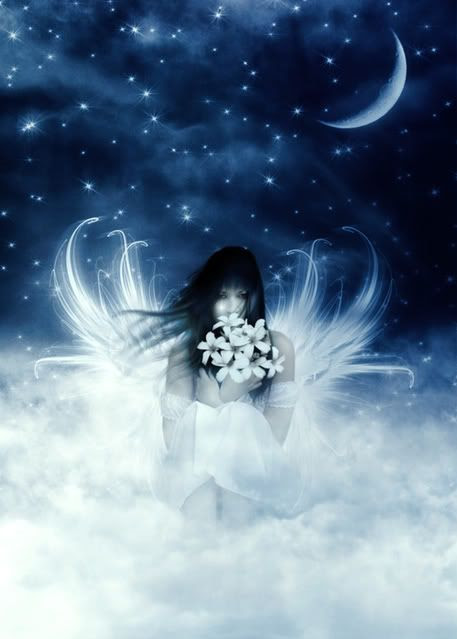 Fairy Pictures Fairy Photos Beautiful Fairies Pink Fairies Graphics