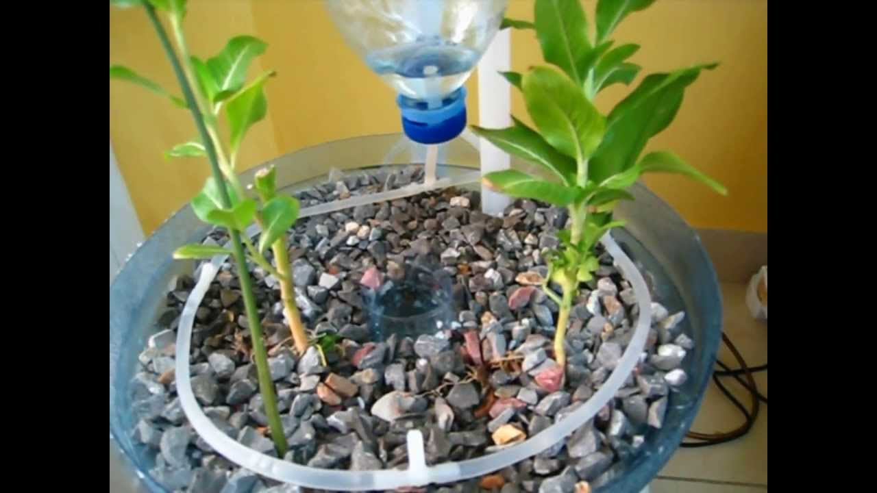 PET Bottle Aquaponics System , A Beginner How to Video on ...