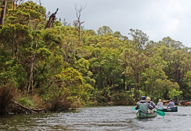 Canoeing on Margaret River Western Australia - photo zoedawes