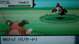 色違い ヨマワル Youtube