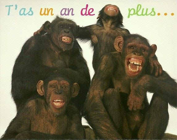Carte Anniversaire Humour