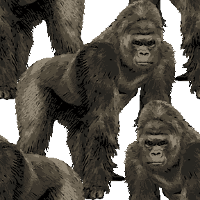 りあるたっちゴリラ No 357 リアルごりらの壁紙用イラスト 条件付フリー素材集 スマホなど携帯電話対応