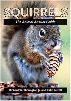 Squirrels The Animal Answer Guides QA For The Curious Naturalist