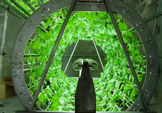 Hydroponics Are Hot | Inhabitat - Green Design, Innovation ...
