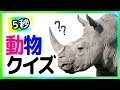[ベスト] 動物クイズ 子ども 572215-動物クイズ 子供向け