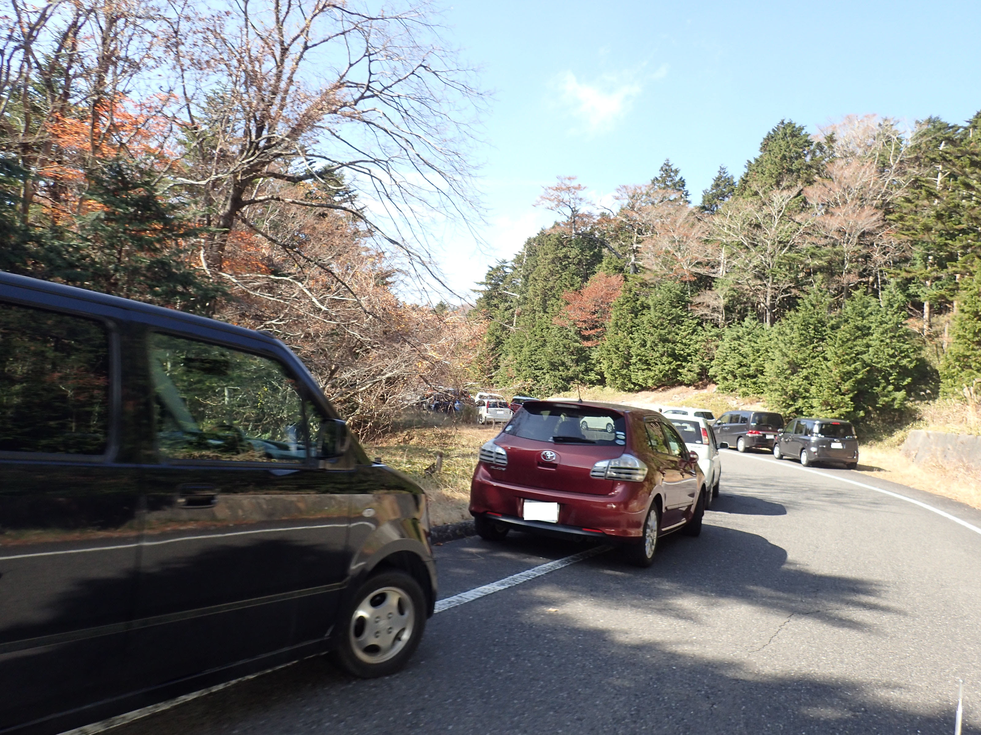 近畿地方環境事務所 お知らせ 吉野熊野国立公園大台ヶ原山上駐車場等の混雑状況について