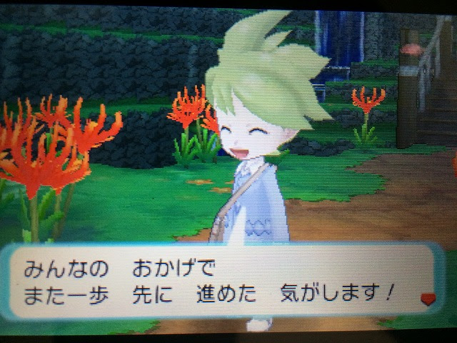ポケットモンスター オメガルビー プレイ日記 その21 ゲームこそ我が人生