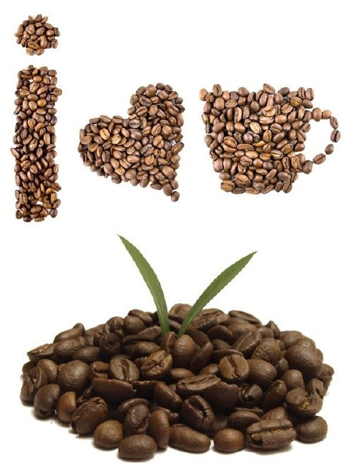 Photo stock: coffee beans 