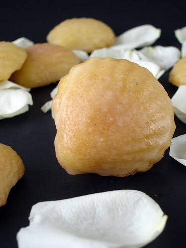 Vanilla and rosewater madeleines